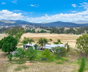 Rural / Farming commercial property for sale at 120 Mount Cobla Road Currabubula NSW 2342