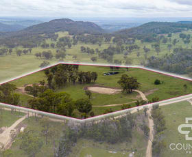 Rural / Farming commercial property for sale at 24 Cemetery Road Torrington NSW 2371