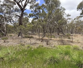 Rural / Farming commercial property for sale at Allotment 1A Wimmera Highway St Arnaud VIC 3478