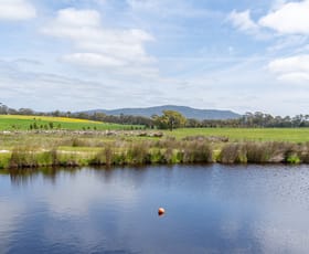 Rural / Farming commercial property for sale at 315 Coach Road Strathbogie VIC 3666