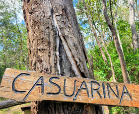 Rural / Farming commercial property for sale at 109 Back Creek Road Crows Nest QLD 4355