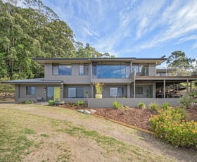 Rural / Farming commercial property for sale at 121 Rodney Road Mount Vincent NSW 2323