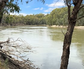 Rural / Farming commercial property for sale at 116 Woolscour Road Narrandera NSW 2700