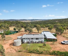 Rural / Farming commercial property for sale at 147B Simpson Drive Grenfell NSW 2810