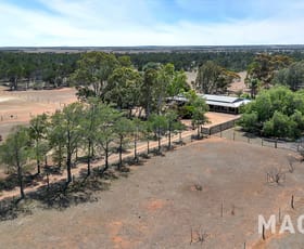 Rural / Farming commercial property for sale at 1106 Milendella Road Milendella SA 5237 Rural / Farming commercial property for sale at 1106 Milendella Road Milendella SA 5237