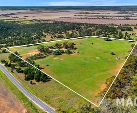 Rural / Farming commercial property for sale at 1106 Milendella Road Milendella SA 5237