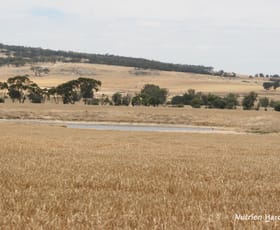 Rural / Farming commercial property for sale at Lot 1306 Talbot West Road Talbot West WA 6302