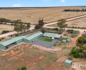 Rural / Farming commercial property for sale at 6 Hamley Bridge Road Barabba SA 5460