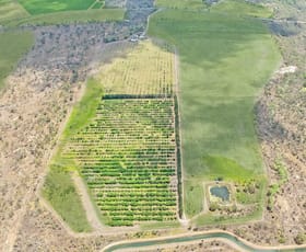 Rural / Farming commercial property for sale at 42 Seward Road Dimbulah QLD 4872