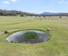 Rural / Farming commercial property for sale at 399 Ferny Hill Road Golconda TAS 7254