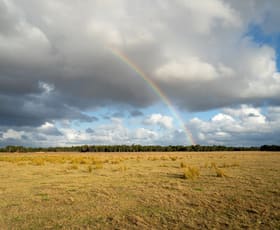 Rural / Farming commercial property for sale at Lot 474 Yellanup Road Narrikup WA 6326 Rural / Farming commercial property for sale at Lot 474 Yellanup Road Narrikup WA 6326