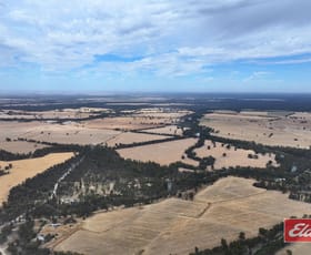 Rural / Farming commercial property for sale at 1971 Stewarts Bridge Road Echuca VIC 3564