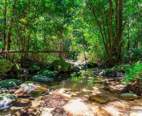 Rural / Farming commercial property for sale at 176 Healy Road Mirriwinni QLD 4871 Rural / Farming commercial property for sale at 176 Healy Road Mirriwinni QLD 4871