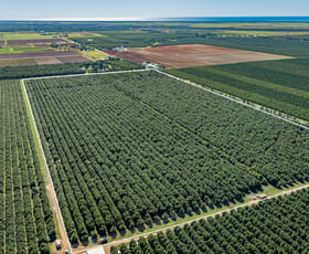 Rural / Farming commercial property for sale at 94 Pashleys Road Welcome Creek QLD 4670