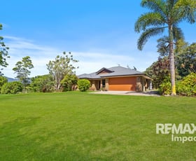 Rural / Farming commercial property for sale at 1937 Mossman-Mount Molloy Road Julatten QLD 4871 Rural / Farming commercial property for sale at 1937 Mossman-Mount Molloy Road Julatten QLD 4871