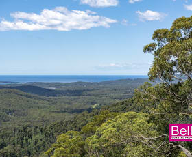 Rural / Farming commercial property for sale at 41/ Old Coach Road Termeil NSW 2539