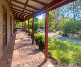 Rural / Farming commercial property for lease at 404 Limeburners Creek Road Clarence Town NSW 2321