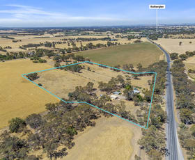 Rural / Farming commercial property for sale at 4572 Murray Valley Highway Rutherglen VIC 3685