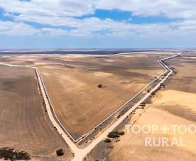 Rural / Farming commercial property for sale at Church Road Copeville SA 5308 Rural / Farming commercial property for sale at Church Road Copeville SA 5308