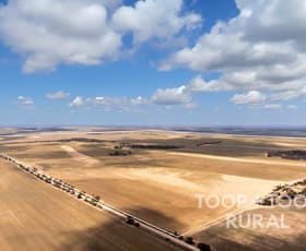 Rural / Farming commercial property for sale at 2167 Bakara Road Galga SA 5308