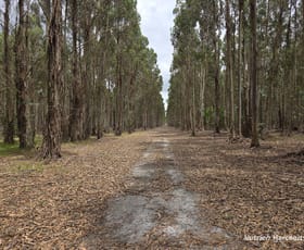 Rural / Farming commercial property for sale at 142 Mindijup Road Palmdale WA 6328 Rural / Farming commercial property for sale at 142 Mindijup Road Palmdale WA 6328