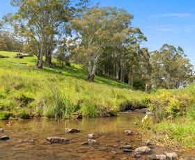 Rural / Farming commercial property for sale at 69 Meads Road Melrose TAS 7310