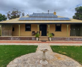 Rural / Farming commercial property for sale at 38 Dodgson Drive Streaky Bay SA 5680 Rural / Farming commercial property for sale at 38 Dodgson Drive Streaky Bay SA 5680