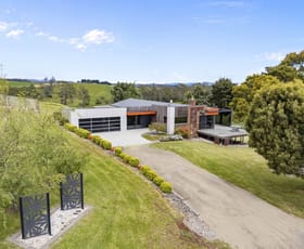 Rural / Farming commercial property for sale at 69 Meads Road Melrose TAS 7310