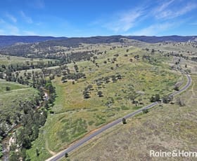 Rural / Farming commercial property for sale at 1988 Freemantle Road Milkers Flat NSW 2795
