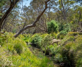 Rural / Farming commercial property for sale at Lot 101 Lucks Lane Lerida Via Gunning NSW 2581