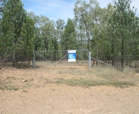 Rural / Farming commercial property for sale at Lot 19 Mountain Creek Road Tenterfield NSW 2372