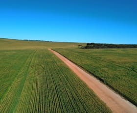Rural / Farming commercial property for sale at 6062 Coorow-Greenhead Road Warradarge WA 6518 Rural / Farming commercial property for sale at 6062 Coorow-Greenhead Road Warradarge WA 6518