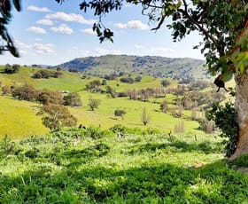 Rural / Farming commercial property for sale at 126 Sugarloaf Road Sheans Creek VIC 3666