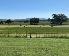 Rural / Farming commercial property for sale at 126 Sugarloaf Road Sheans Creek VIC 3666 Rural / Farming commercial property for sale at 126 Sugarloaf Road Sheans Creek VIC 3666