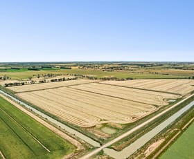 Rural / Farming commercial property for sale at Lot N Murphys & Hercus Road Calivil VIC 3573 Rural / Farming commercial property for sale at Lot N Murphys & Hercus Road Calivil VIC 3573