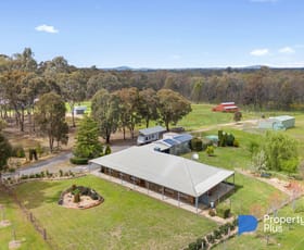 Rural / Farming commercial property for sale at 32 Menzies Drive Daisy Hill VIC 3465 Rural / Farming commercial property for sale at 32 Menzies Drive Daisy Hill VIC 3465