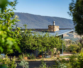 Rural / Farming commercial property for sale at 109 Switchback Road Mudgegonga VIC 3737 Rural / Farming commercial property for sale at 109 Switchback Road Mudgegonga VIC 3737