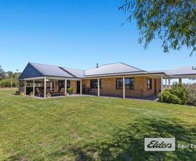 Rural / Farming commercial property for sale at 384 Gavins Road Capel WA 6271 Rural / Farming commercial property for sale at 384 Gavins Road Capel WA 6271
