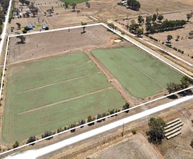 Rural / Farming commercial property for sale at 800 Mason Road Girgarre VIC 3624 Rural / Farming commercial property for sale at 800 Mason Road Girgarre VIC 3624