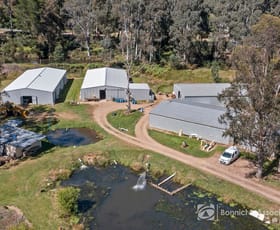 Rural / Farming commercial property for sale at 121 Stanley Road Beechworth VIC 3747