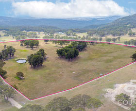 Rural / Farming commercial property for sale at 320 Cemetery Road Torrington NSW 2371