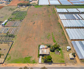 Rural / Farming commercial property for sale at 77-81 St Kilda Road Waterloo Corner SA 5110