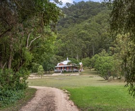 Rural / Farming commercial property for sale at "Glenrock" 351 The Inlet Road Bulga NSW 2330 Rural / Farming commercial property for sale at "Glenrock" 351 The Inlet Road Bulga NSW 2330
