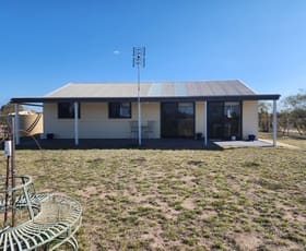 Rural / Farming commercial property for sale at Tara QLD 4421