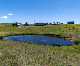 Rural / Farming commercial property for sale at 8168 Castlereagh Highway, Aarons Pass Mudgee NSW 2850