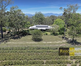 Rural / Farming commercial property for sale at 122 Secombs Lane Hickeys Creek NSW 2440