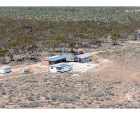 Rural / Farming commercial property for sale at 202/ Schwertie Road Black Hill SA 5353 Rural / Farming commercial property for sale at 202/ Schwertie Road Black Hill SA 5353