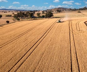 Rural / Farming commercial property for sale at 530 Billimari Road Cowra NSW 2794