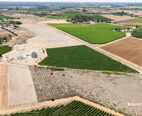 Rural / Farming commercial property for sale at 37 Trioda Street Red Cliffs VIC 3496 Rural / Farming commercial property for sale at 37 Trioda Street Red Cliffs VIC 3496