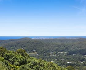 Rural / Farming commercial property for sale at 525 Trees Road Tallebudgera QLD 4228